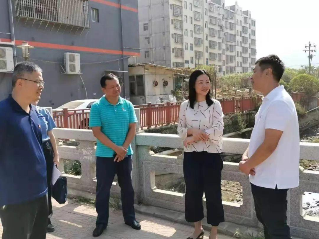 一道旭光分两地鸡啼鼠走四十六是什么生肖的全面释义、解释与落实、实证解答解释落实