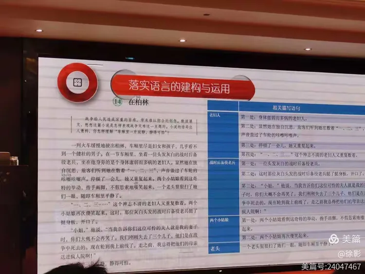八面玲珑金光瑶,左右逢源紫气丹指什么生肖详细解答、实时解答解释落实