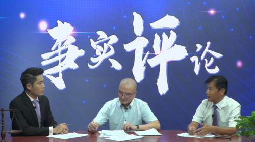 绿波双数找特码,手拿葫芦也是八打一个生肖，全面释义、专家解答解释落实
